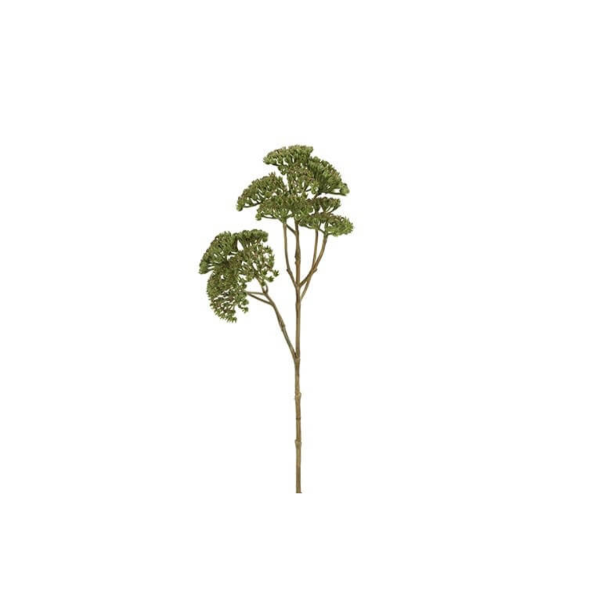 Vallumall grænn 52cm