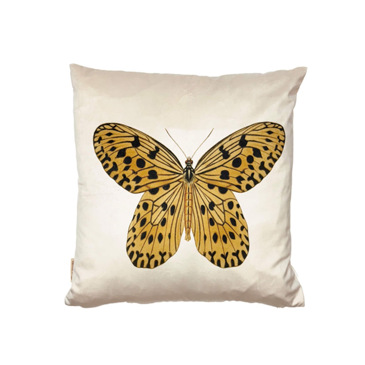 Yellow butterfly púði 50cm