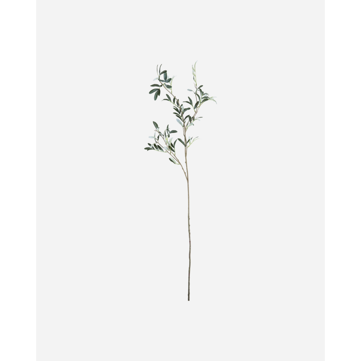Olive græn h:120cm