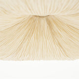 Lokta loftljós 62,5cm