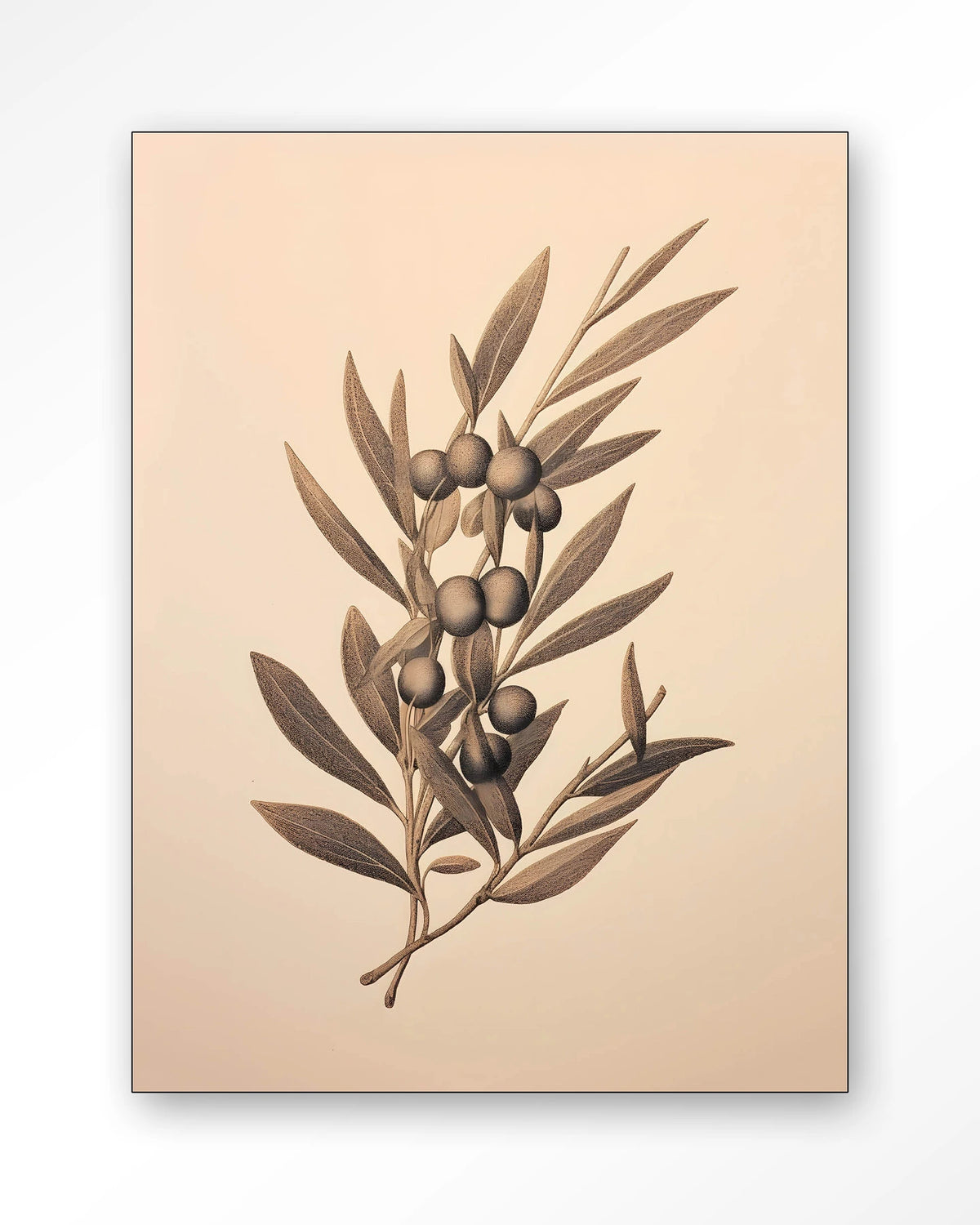 Oliva veggmynd 110x145cm