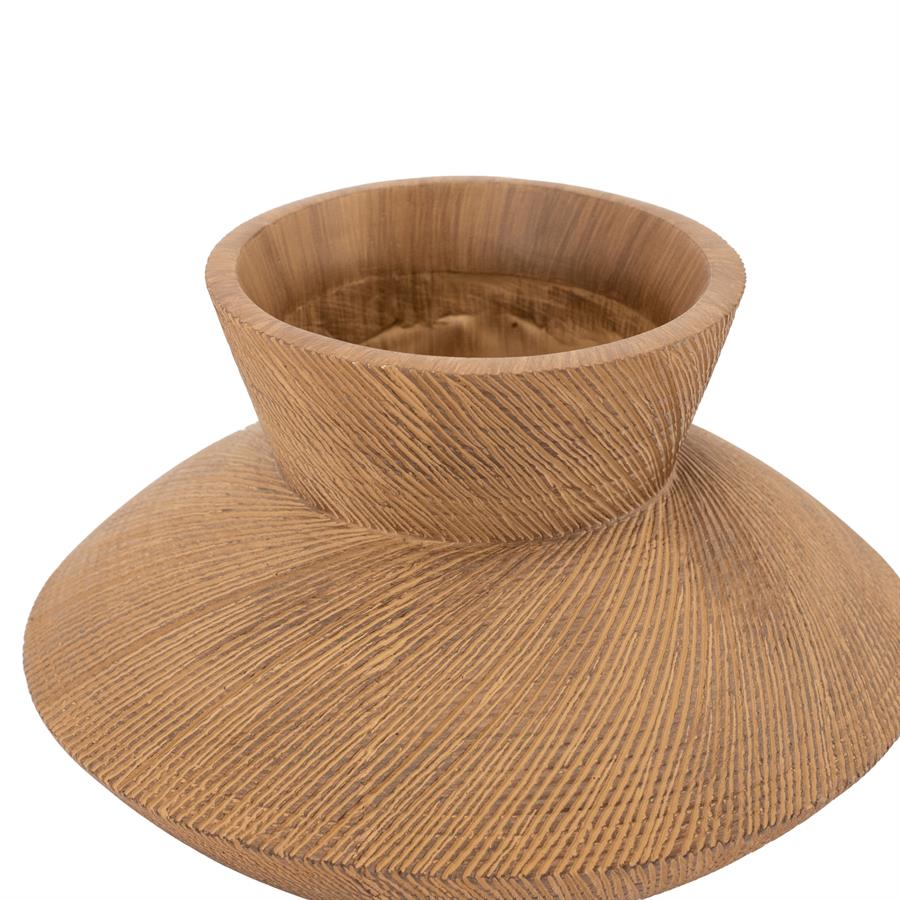 Avena vasi medium