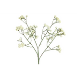 Brúðarslör krem 61cm