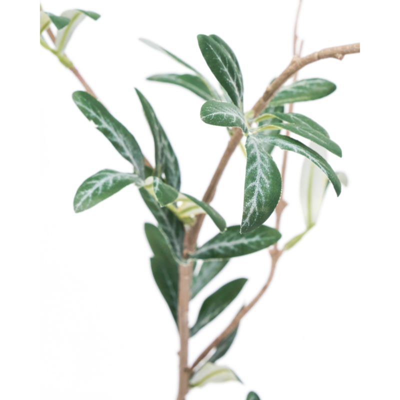 Olive græn h:120cm