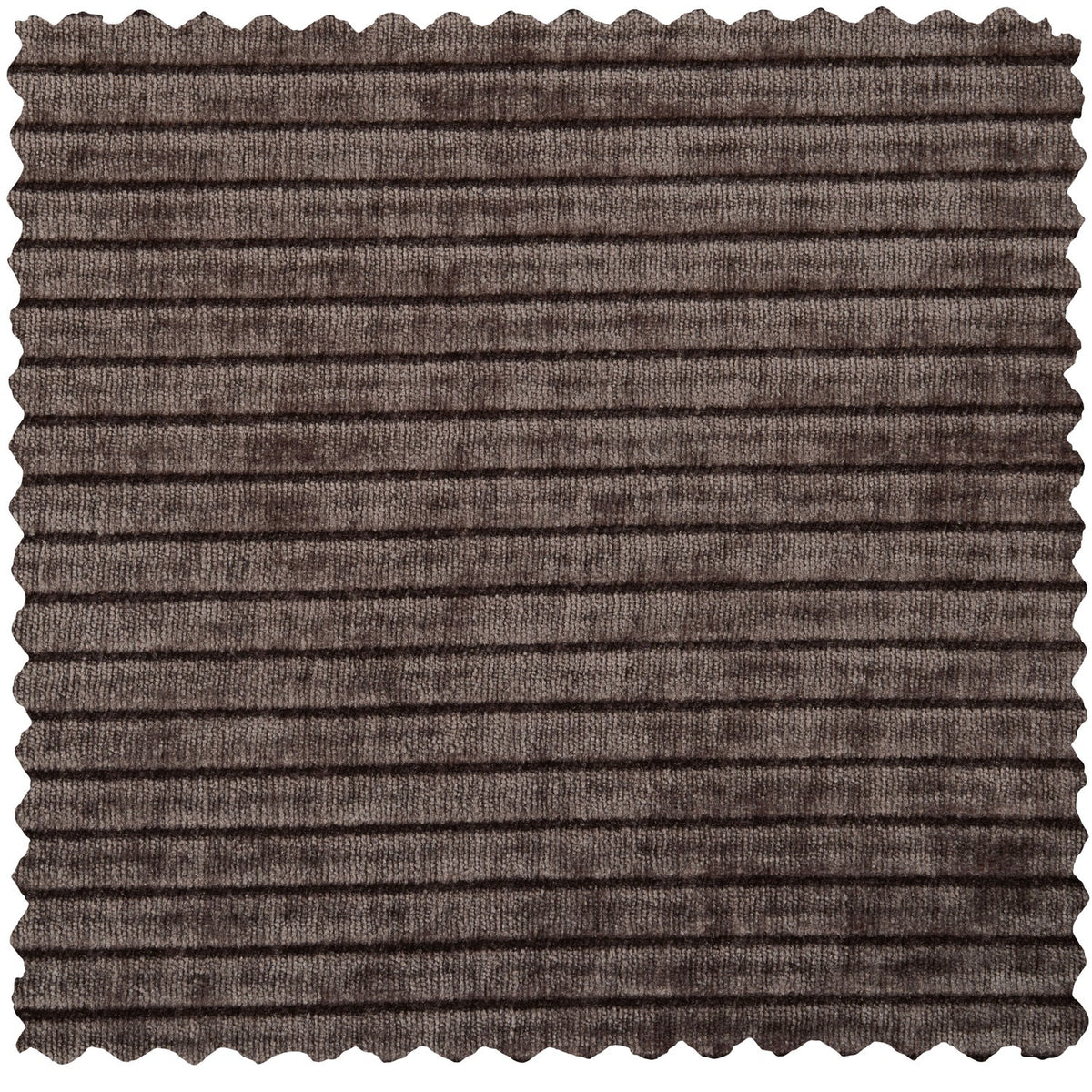 Mojo bekkur 164cm rib brown