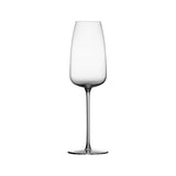 Syrah kampavínsglös 6stk crystalline