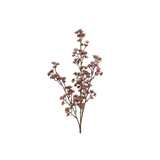 Kirsuberjagrein fuchsia 65cm