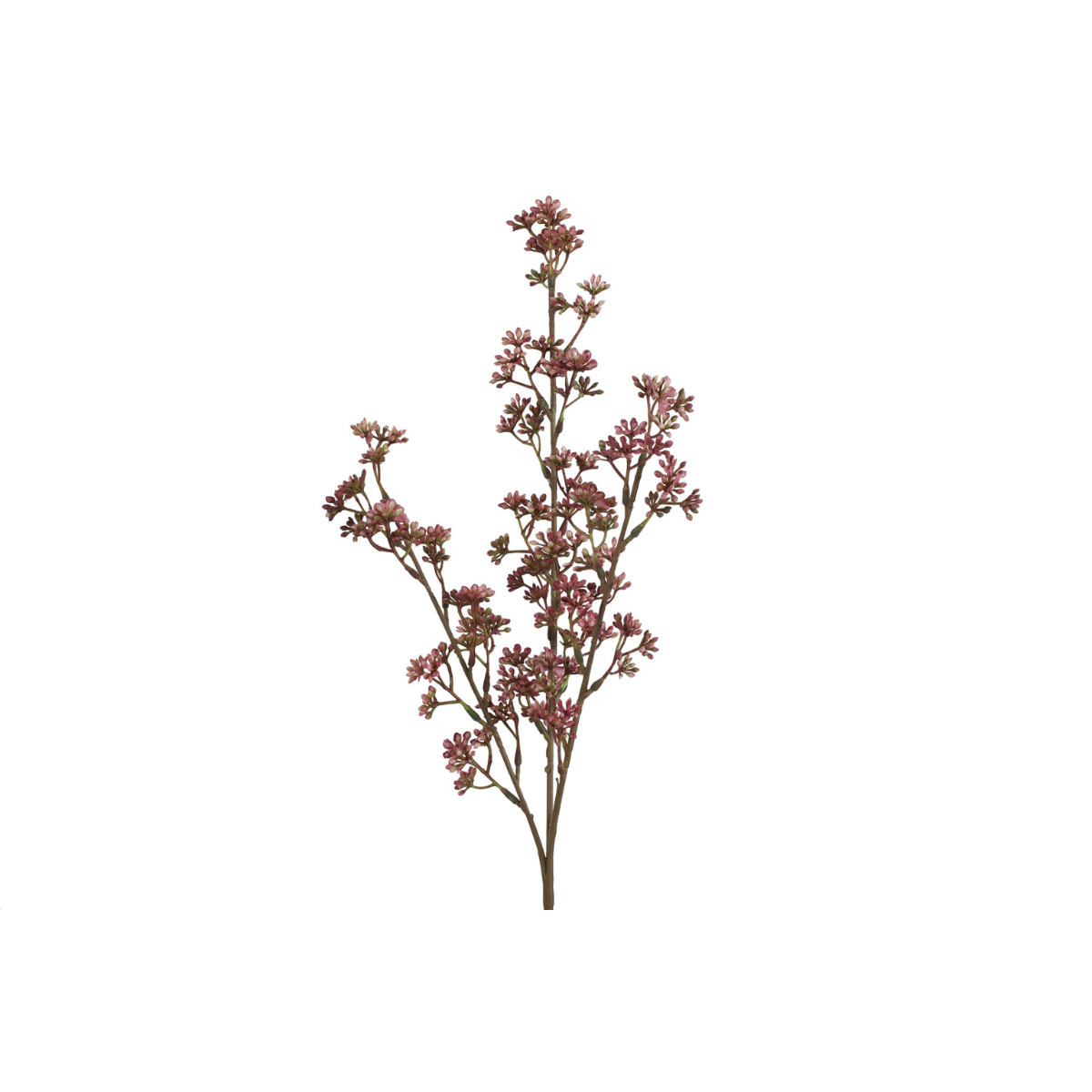 Kirsuberjagrein fuchsia 65cm