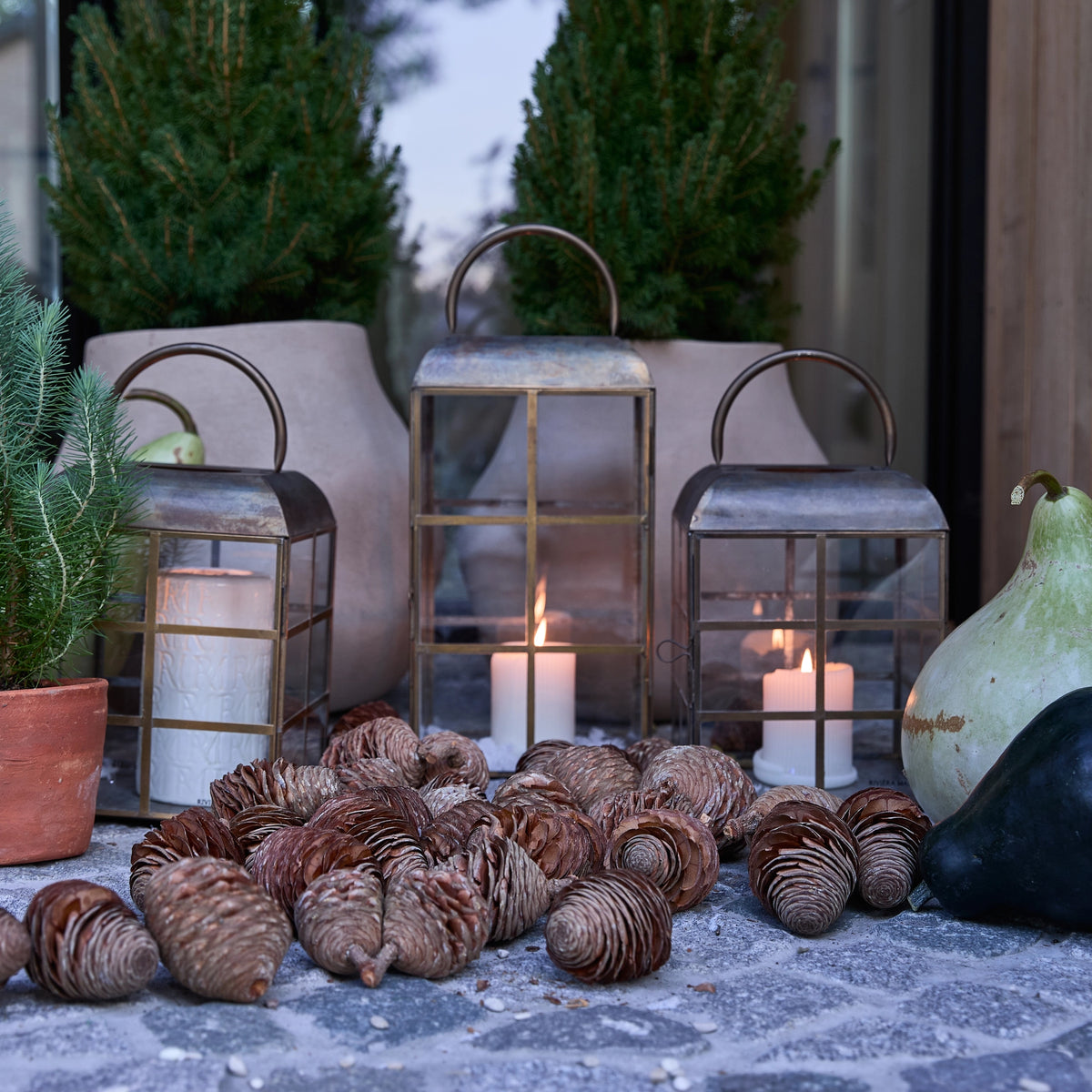 Bastidonne kertalukt medium