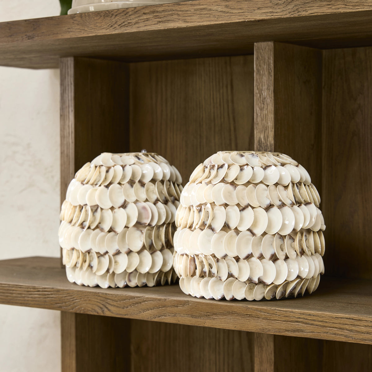 Ocean Cay Shell vasi Low