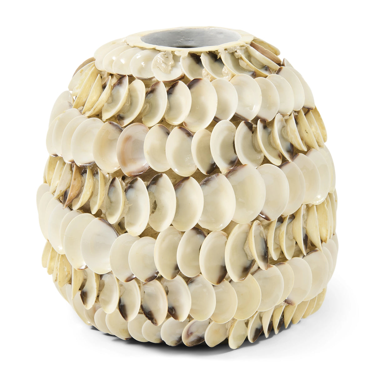 Ocean Cay Shell vasi Low