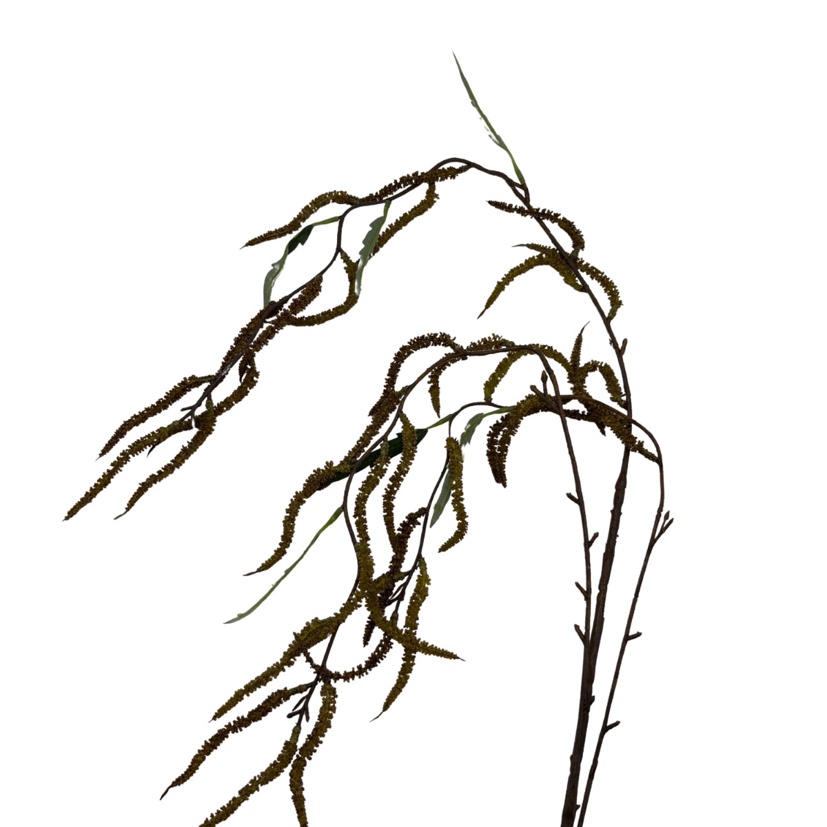 Amarant grein brún 102cm