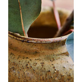 Kolo vasi mustard 8,5cm
