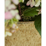 Corp vasi beige