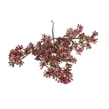 Kirsuberjagrein fuchsia 65cm
