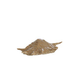 Shell skraut brown 26,5x16x7,5 cm