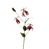 Gloriosa Lily Spray Red 82cm