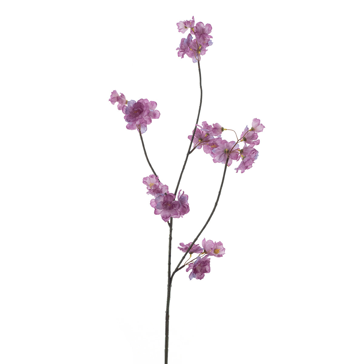 Prunus Malaga spray Lavender 84cm