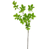 Spring leaf 128cm