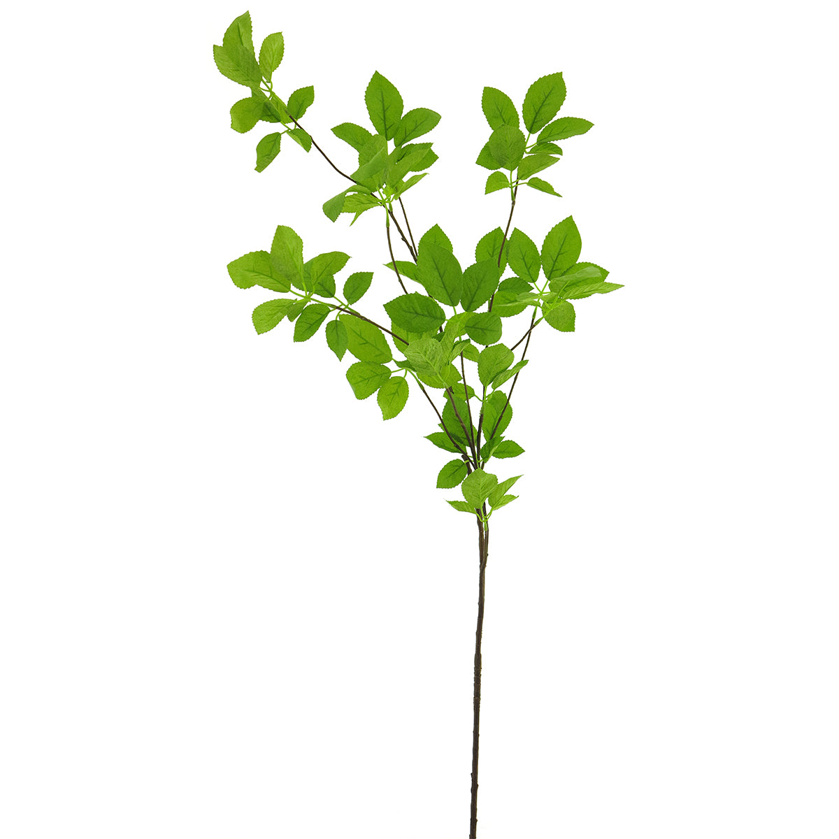 Spring leaf 128cm
