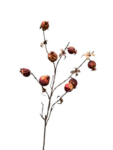 Garnet branch pink 95 cm