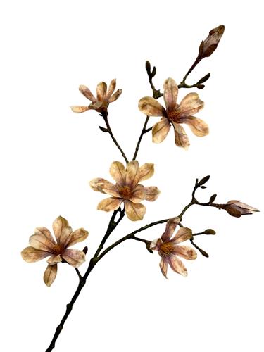 Magnolia spray amber 90cm