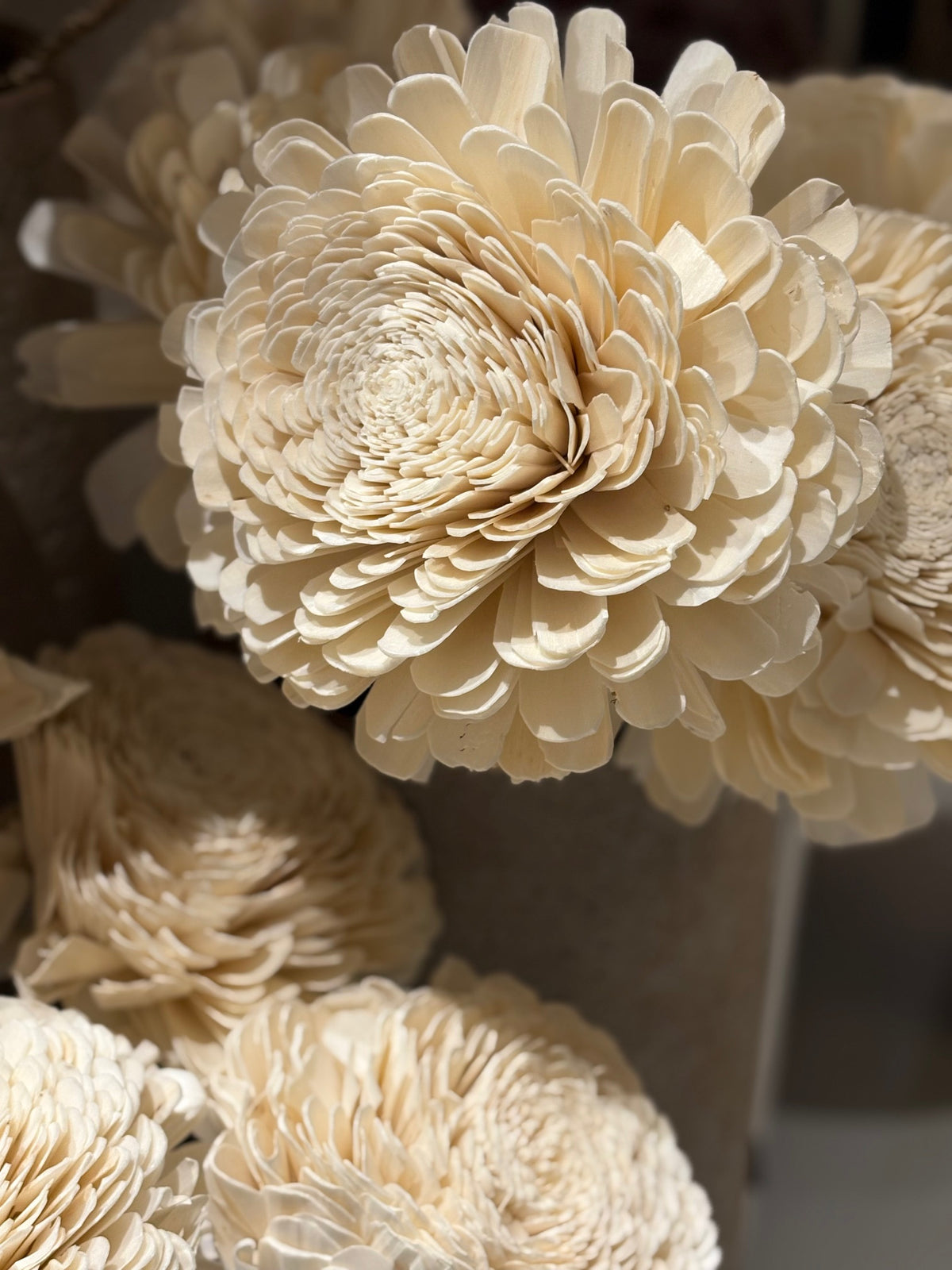 Sola flower cream 25x27x100cm