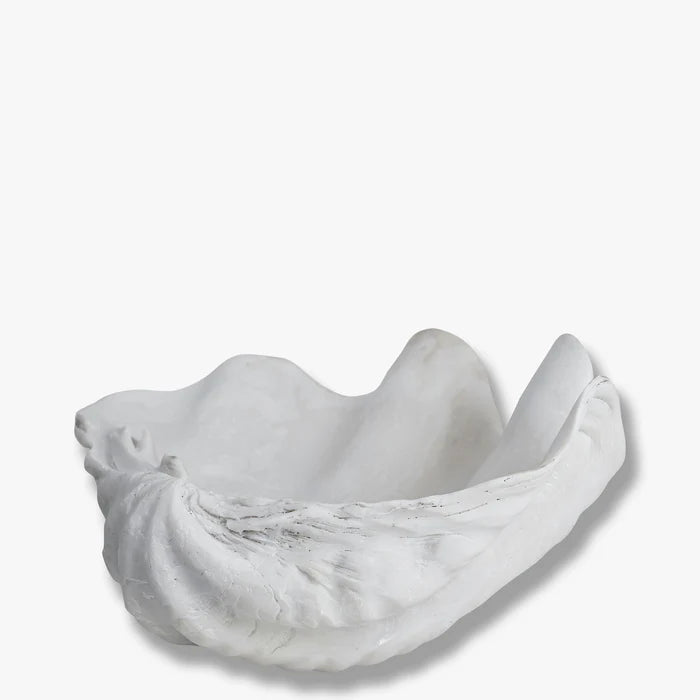 
            Shell deco - small  white