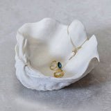 Shell deco - small  white