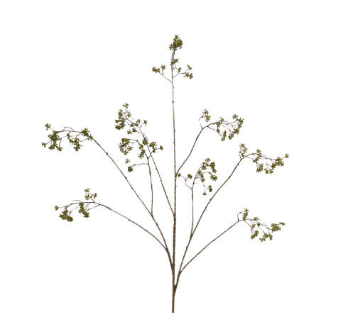 Eucalyptus 139cm green