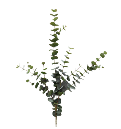 Eucalyptus 120cm green
