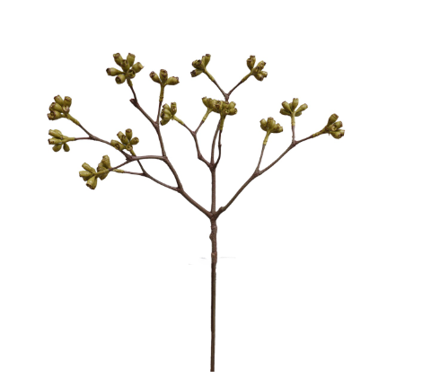 Eucalyptus 66cm green