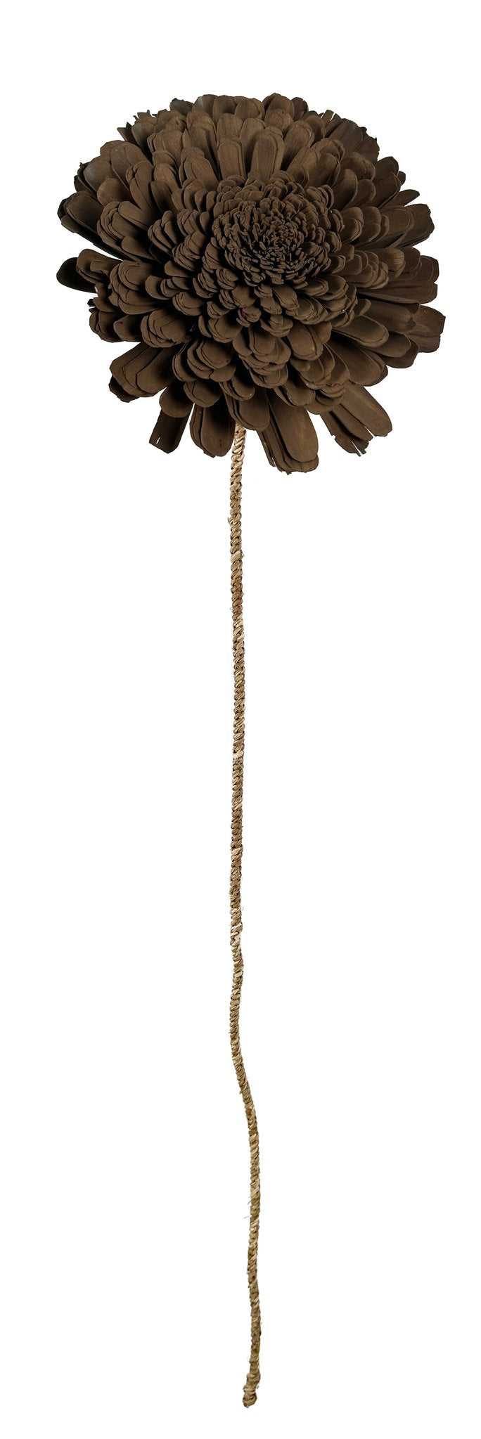 Sola flower brown 25x27x100cm
