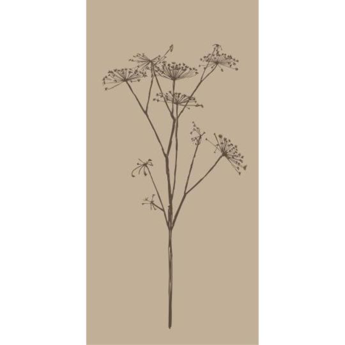 Servíettur brún umbel blóm 16stk