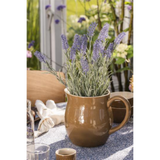 Lavender í potti h:40cm