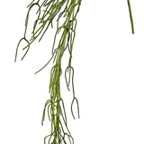 Pencil cactus green 170cm