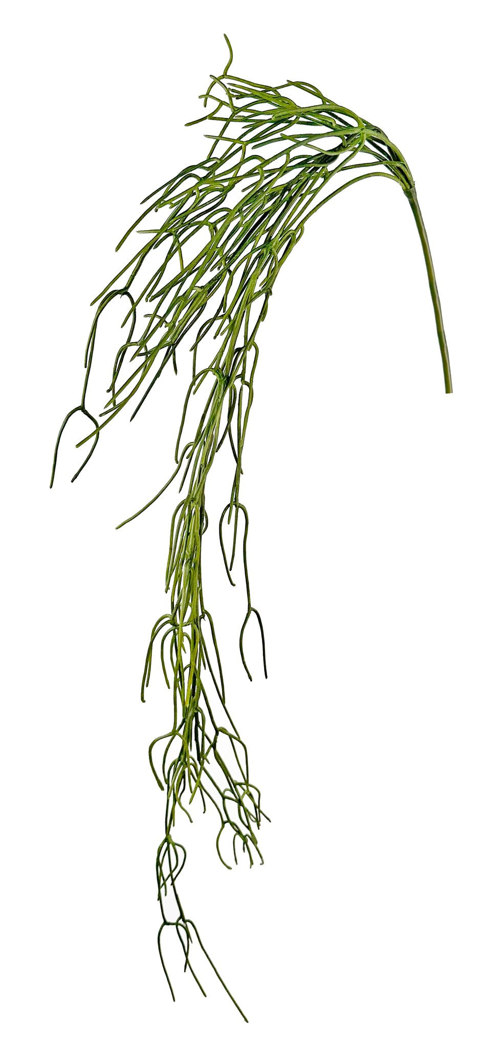 Pencil cactus green 170cm