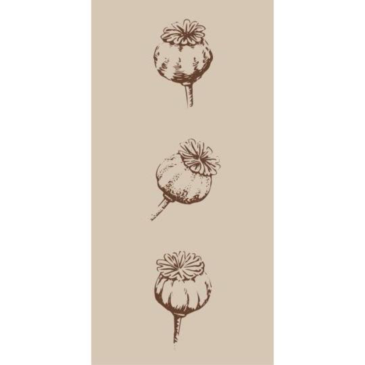 Servíettur poppy pods 16stk