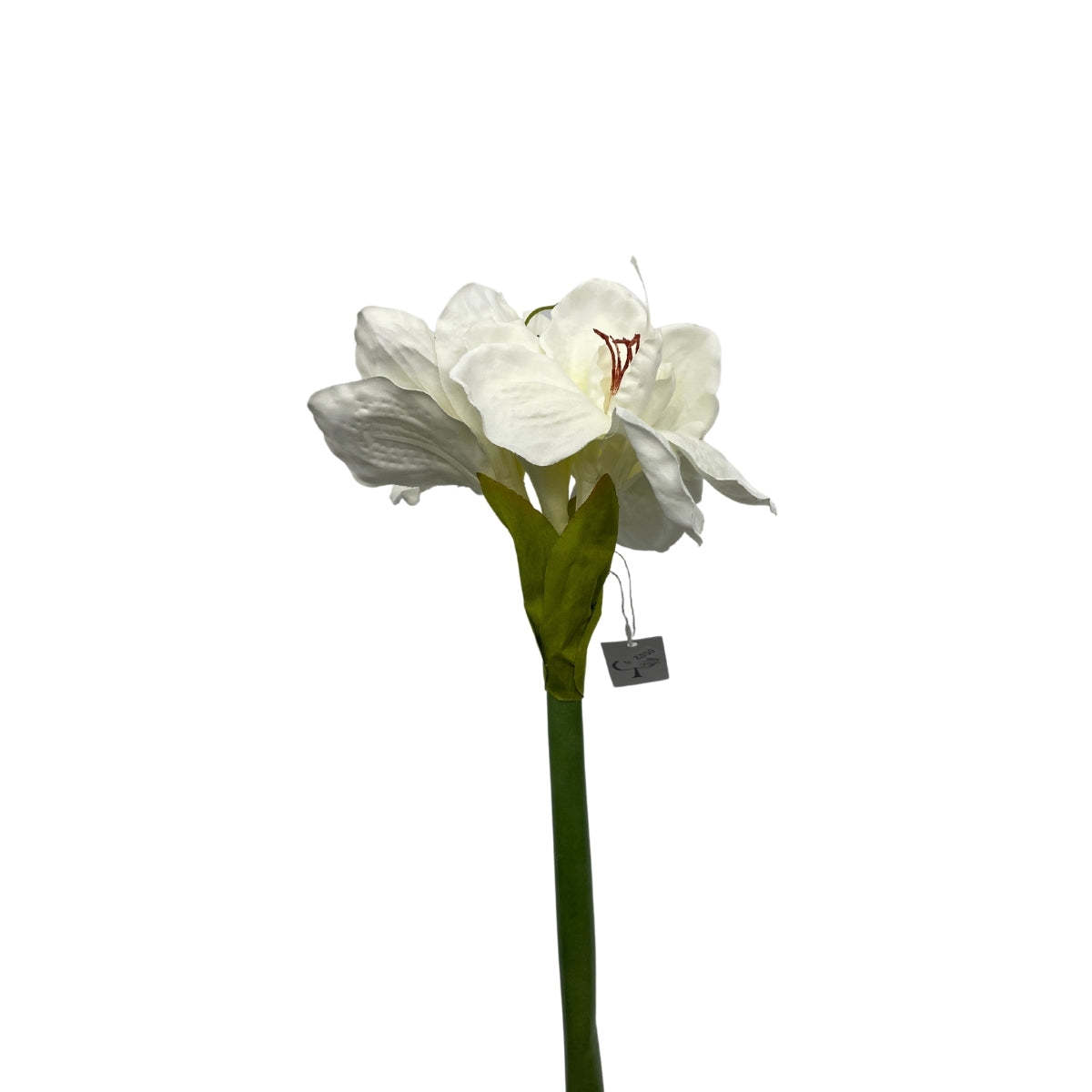 
            Amaryllis hvítur 66cm