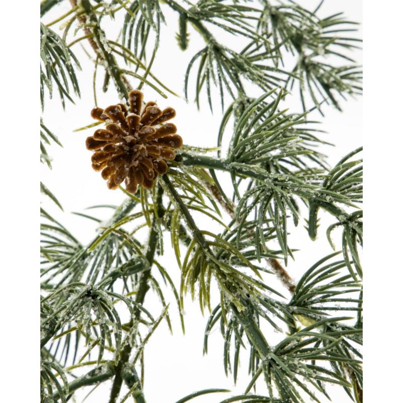 Pine grenilengja 185cm