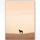 Desert horse 110x145cm
