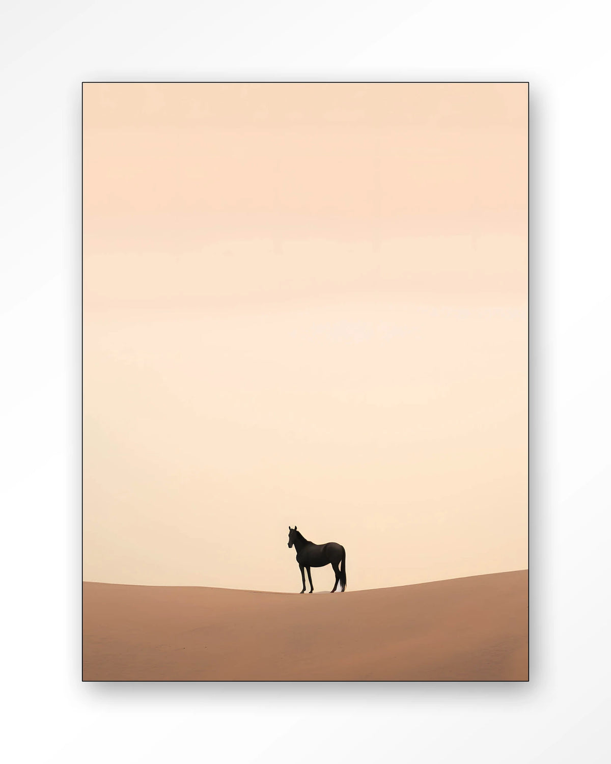 Desert horse 110x145cm