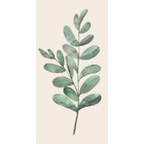 Servíettur Olive grein 16stk