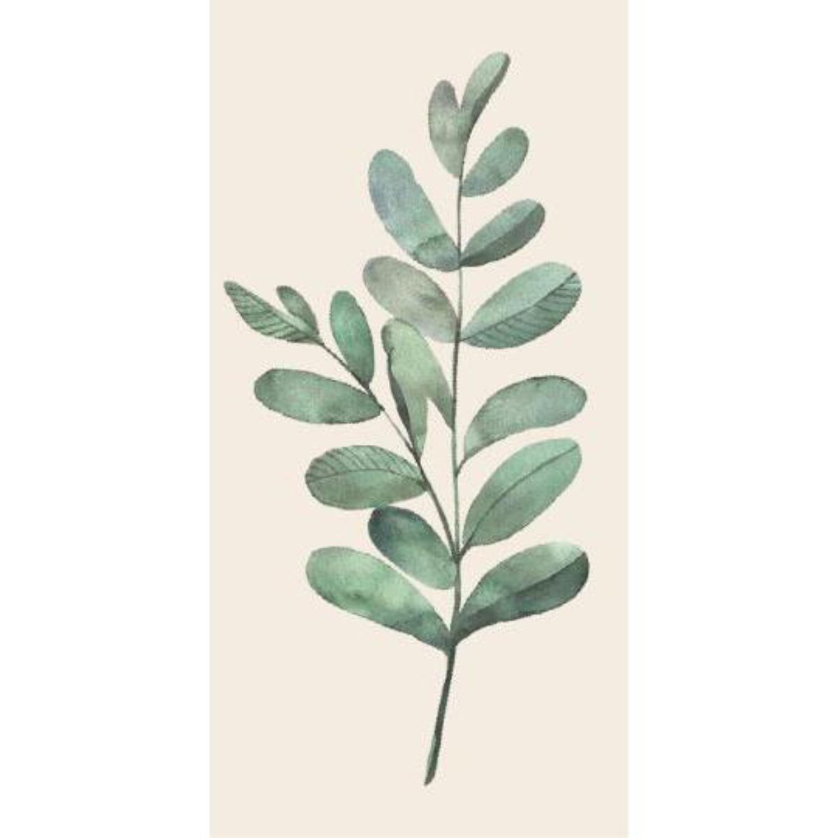 Servíettur Olive grein 16stk