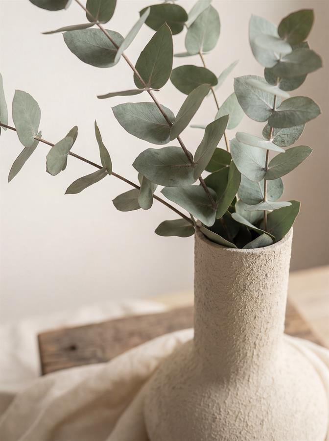 Cornas beige 29x50cm