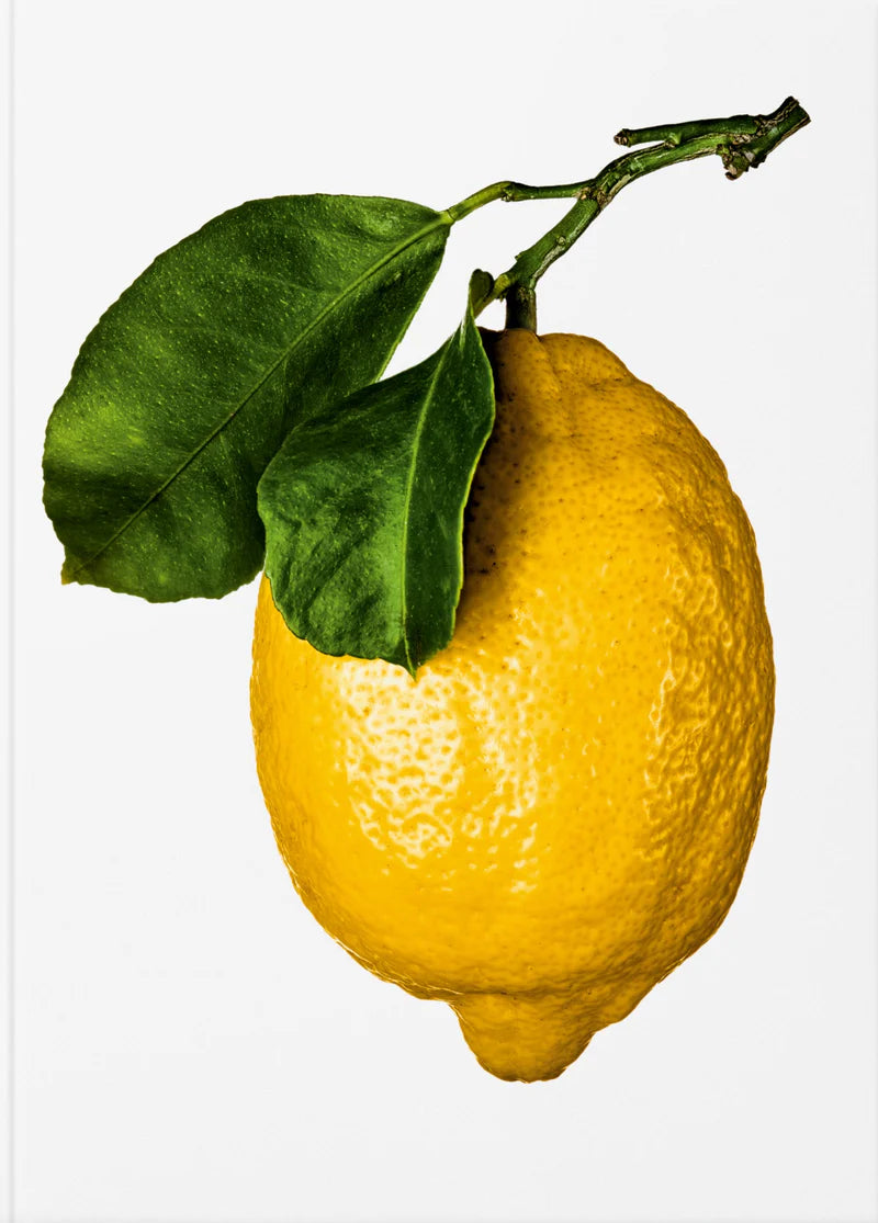 The Gourmand's Lemon - Uppskriftabók