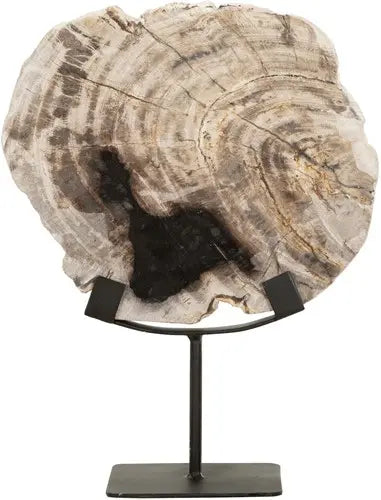 Fossil stytta