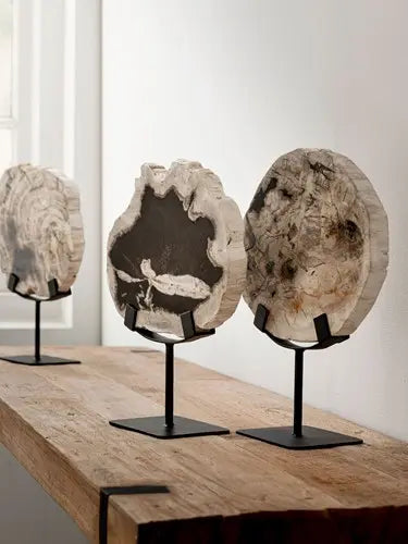 Fossil stytta
