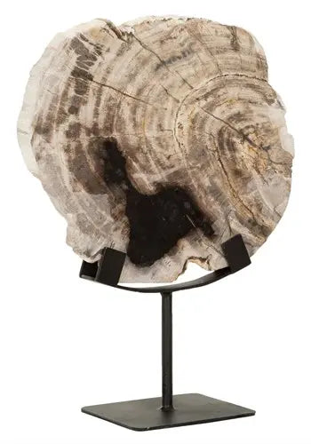 Fossil stytta