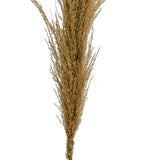 Pampas natural 117cm